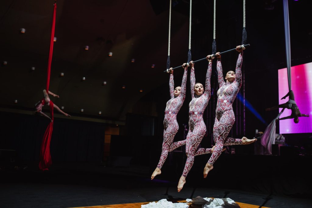 aerial performers2