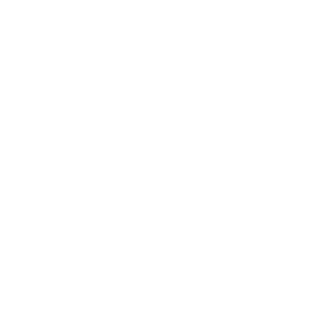 thestar